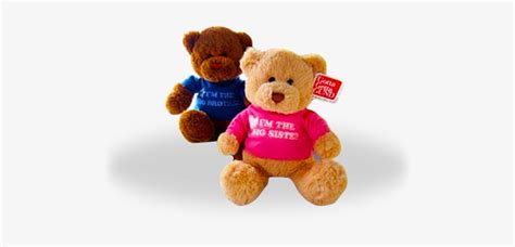 big brother big sister teddy bear big sister little brother teddy bears 500x500 png download