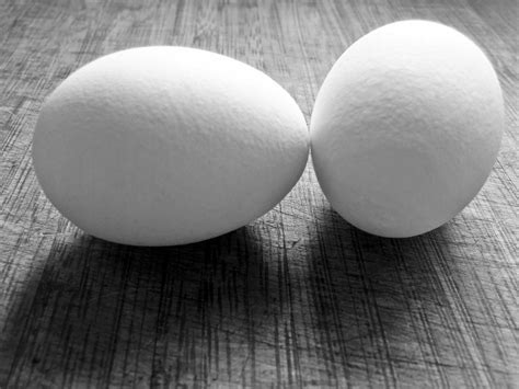 Two White Eggs On The Table Free Image Download
