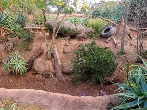 Meerkat Enclosure June 2016 Zoochat