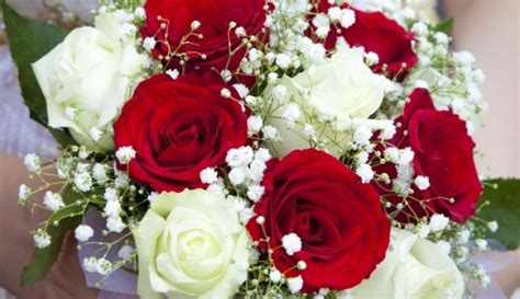 Beautiful Bridal Bouquets Inspired By Valentines Day Carnation Bridal