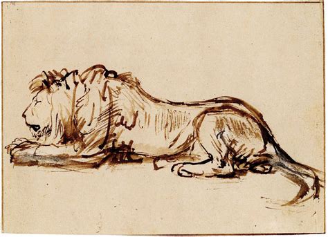 rembrandt school lion asleep to the left