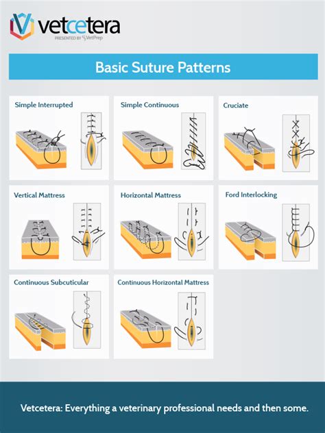 Basic Suture Patterns Vetcetera