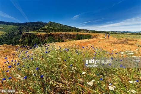 The Dalles Or Photos And Premium High Res Pictures Getty Images