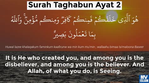 Surah Taghabun Ayat 1 641 Quran With Tafsir My Islam
