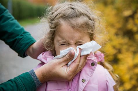 Seasonal Allergies In Children Focus On Kids Pediatrics
