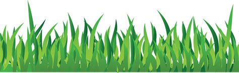 Collection Of Grass Png Pluspng
