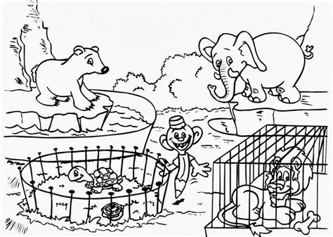 Zoo Coloring Pages Print Color Craft