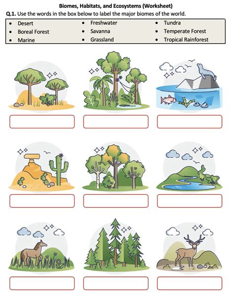 Biomes Habitats And Ecosystems Worksheet Printable And Distance