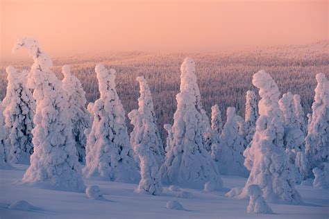 Lapland Winter Adventure Finland Lofoten Tours