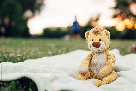 Lonely Plush Toy On A Blanket In A Park By Stocksy Contributor Gabriel Gabi Bucataru Stocksy