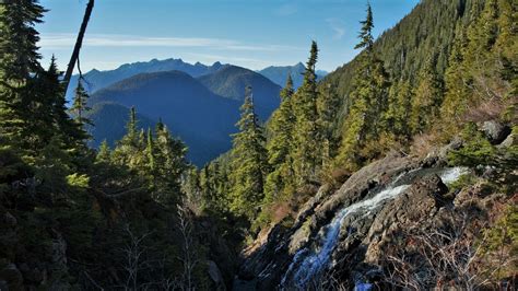 The Forest And Mountains Near Tofino Vancouver Island 3684x2070 Oc