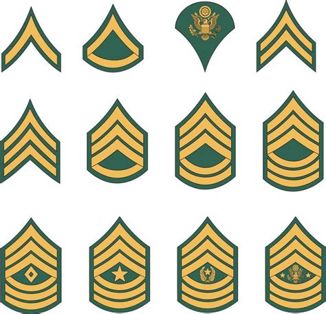 Army Enlisted Rank Insignia Stickers In Army Ranks Military Ranks Marine Corps Ranks