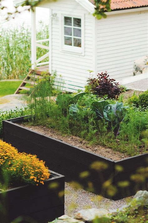 If you are a beginner, you definitely have lots and lots of questions about making your first raised bed. Trend Alert: Black-Stained Raised Beds - Gardenista