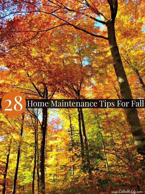 28 Home Maintenance Tips For Fall Centsible Life Household Cleaning