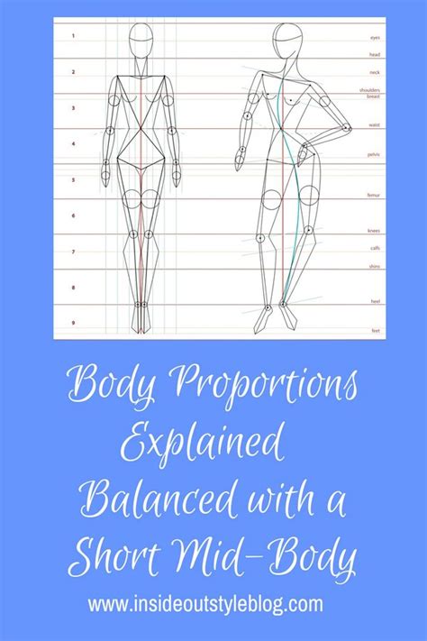 Body Proportions Explained Balanced With A Short Mid Body — Inside