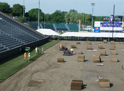 Holy cross to stop using knight image as logo. Photo Gallery: Fitton Field Gets Makeover with New Sod ...