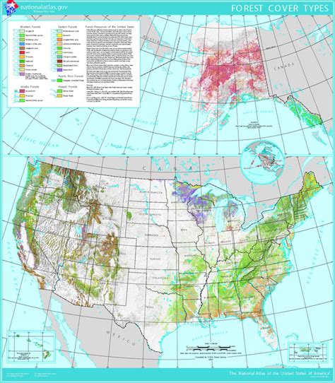 Us National Forests Map