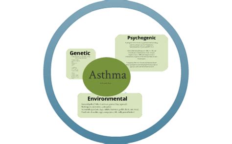 Asthma Concept Map By Elizabeth Shieh