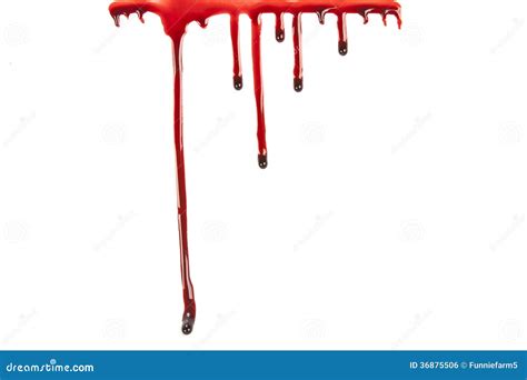 Dripping Blood Isolated On White Royalty Free Stock Image Image 36875506