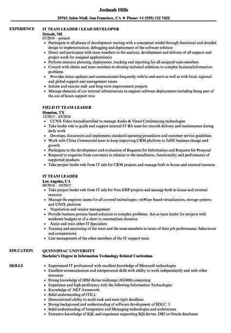 List the responsibilities and job requirements. IT Team Leader Resume Samples | Velvet Jobs