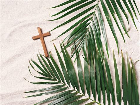 Palm Sunday The Triumphant Entry Classical Conversationsclassical