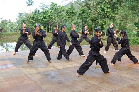 Pencak Silat More Than Just A Fight Indonesia Expat