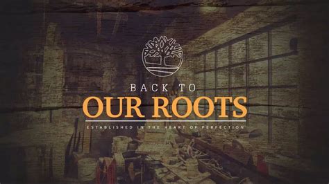 Back To Our Roots Case Study Youtube