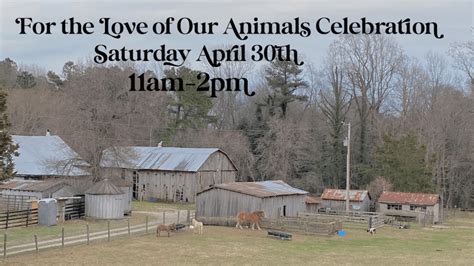 For The Love Of Our Animals Celebration Summerseat Farm Inc