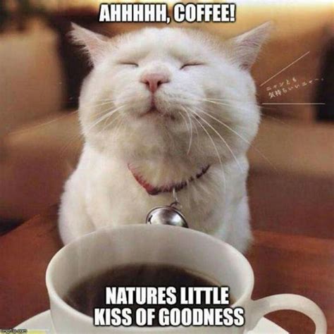 Coffee Humor To Start Your Day With Funny Images Quotes And Memes