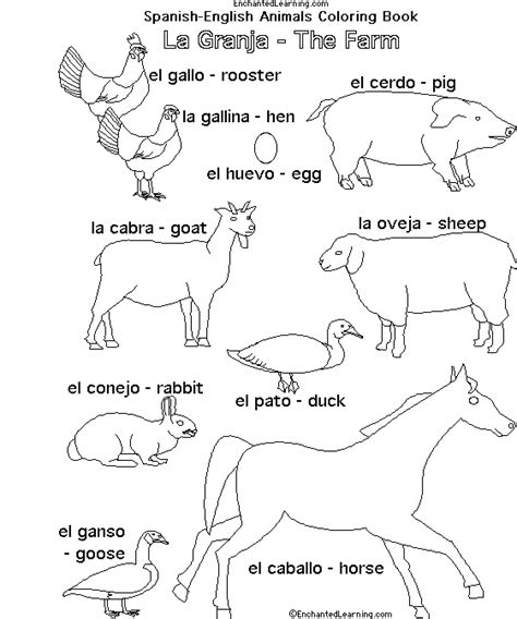 Farm Animals In Spanish Learning Spanish