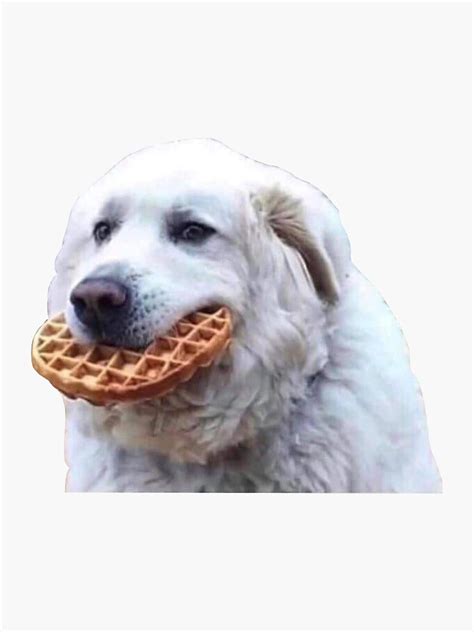 Waffle Dog Sticker For Sale By Op4444 Redbubble