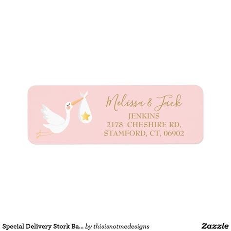 Special Delivery Stork Baby Pink Return Address Label Zazzle Com