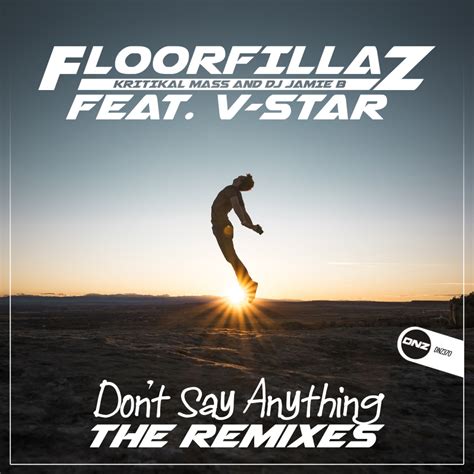 Floorfillaz V Star Don T Say Anything Buzzed Remix Dnz Records