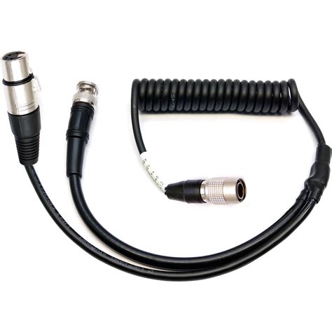 Transvideo 6 Pin Hirose To 4 Pin Xlr Female And Bnc Cable