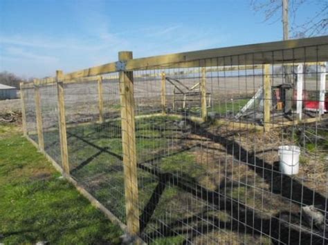 X Wire Fence Chicken Fence Chickens Backyard Livestock Fence