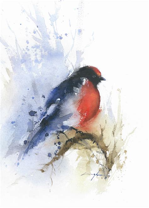 Robin Bird Watercolor Painting Print Red And Black Birds Print Red
