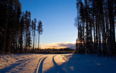 Winter Sunrise Snow Trees Forest Road Wallpaper Nature And
