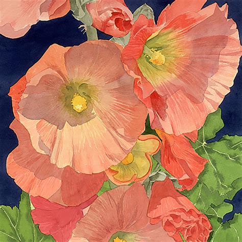 Hollyhock Watercolor Paintings At Explore