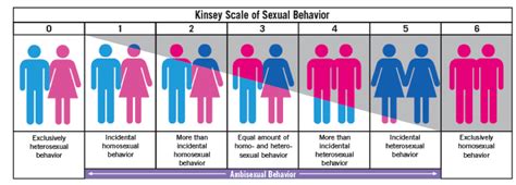 La Escala De Kinsey Fue Creada Por El Dr Alfred Kinsey E Intenta