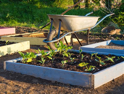 What Is Square Foot Gardening All You Need To Know Ultimate Guide