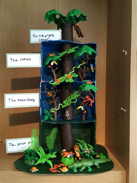 Rainforest In A Shoebox Rainforest Preschool Rainforest Classroom