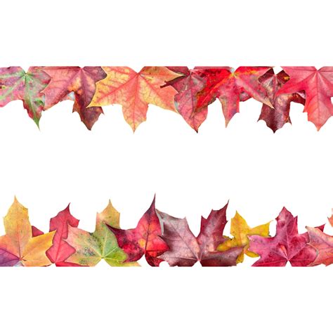 Red Maple Leaf Background Frame Png Images Download
