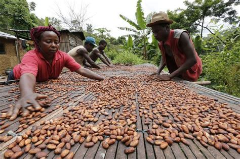 Migrant Workers Particularly At Risk From Forced Labour Report Cocoa Post