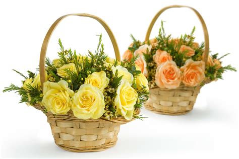 4k 5k Roses White Background Wicker Basket Pink Color Hd