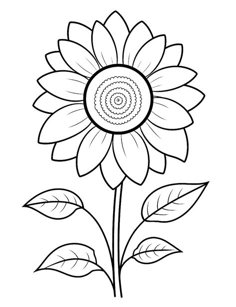 75 Flower Coloring Pages 2024 Free Printable Sheets