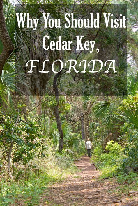 Why Cedar Key Is Our Favorite Place To Kayak With Dolphins In Florida