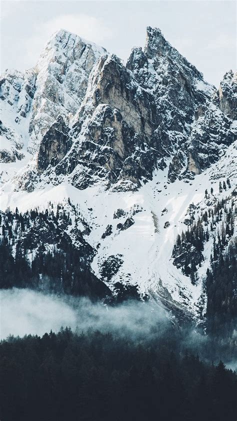 Montañas Nevadas Con Bosque Fondo De Pantalla Id3302