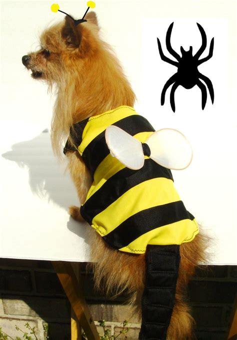 Diy Dog Bee Costume Ubicaciondepersonascdmxgobmx