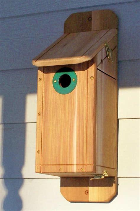 We built a free duck house in 1 hour with recycled materials (and so can you!) | Bird In Everything: Bluebird Bird House Plans