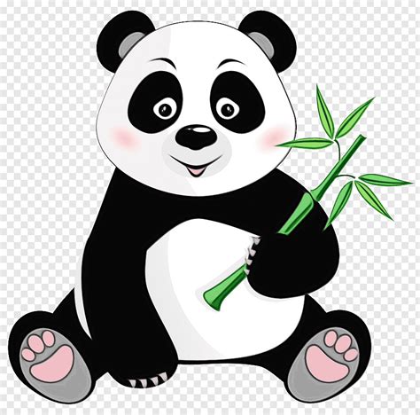 Giant Panda Cartoon Cute Panda Drawing Aesthetic Guides